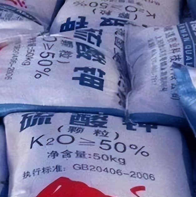 中港?；愤M(jìn)口
