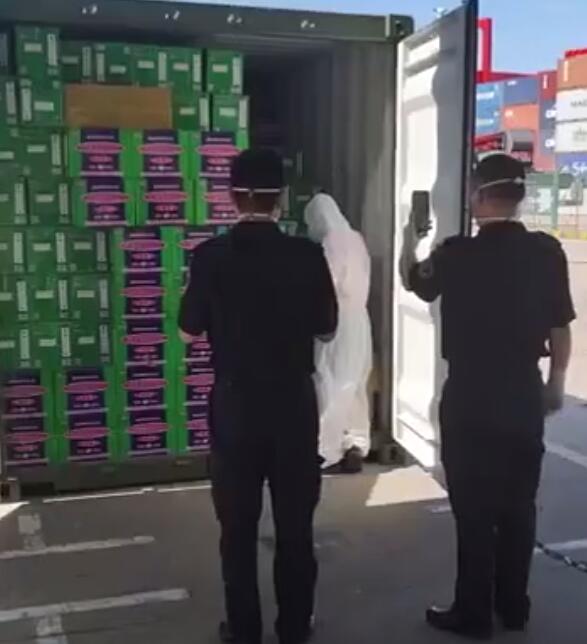 <a href='http://greenlea.cn' title='危險品運輸' >危險品運輸</a>