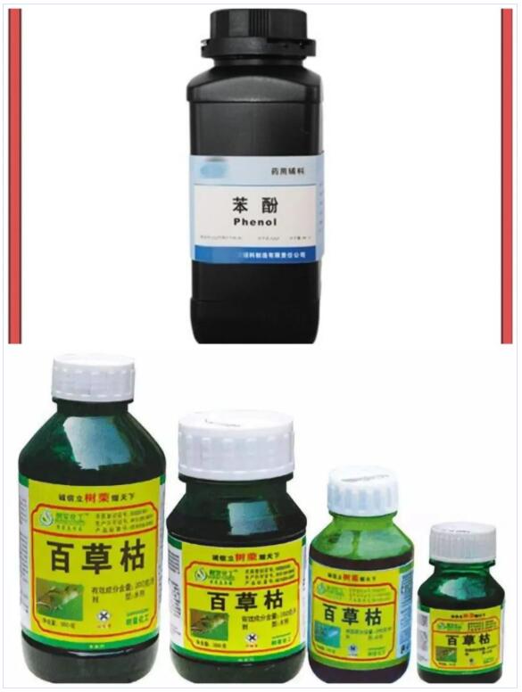 <a href='http://greenlea.cn' title='國際貨運(yùn)代理' >國際貨運(yùn)代理</a>